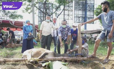 MF Ridho, ST, MT Sekretaris DPD Partai Demokrat Sumsel saksikan penyembelihan hewan qurban di Masjid Al-Hasyim. FOTO : ARRA/VIRALSUMSEL.COM