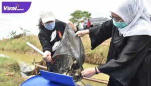 Ketua TP PKK Sumsel, Feby Deru bersama Wakil Ketua 1 TP PKK Sumsel Fauziah Mawardi Yahya ikuti tradisi melebung ikan di Ogan Ilir. FOTO : VIRALSUMSEL.COM
