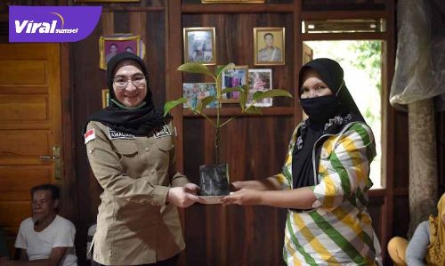 Amaliah Sobli S,KG, MBA Anggota DPD RI Dapil Sumsel berikan bibit buah-buahan pada warga Tanah Abang Ulu. FOTO : VIRALSUMSEL.COM