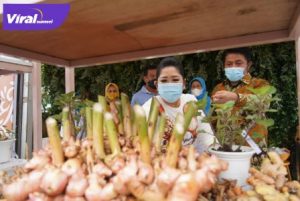 Gubernur Sumsel H Herman Deru didampingi Ketua TP PKK Sumsel Feby Deru buka Festival Rempah Sumsel 2020. FOTO : VIRALSUMSEL.COM