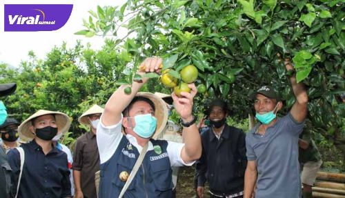 Gubernur Sumatera Selatan H Herman Deru. FOTO :VIRALSUMSEL.COM