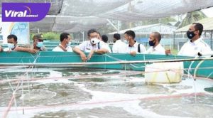 Asisten II, HM Yusuf Arni SPd MM bersama Kades mengunjungi BLUPPB Kabupaten Karawang. FOTO : DISKOMINFO PRABUMULIH