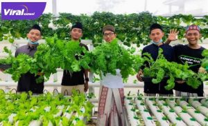 Pemberdayaan ekonomi berupa pembangunan sarana perkebunan hidroponik di Ponpes Sabilul Hasanah Banyuasin. FOTO : GULAM/JURNALIS UIN