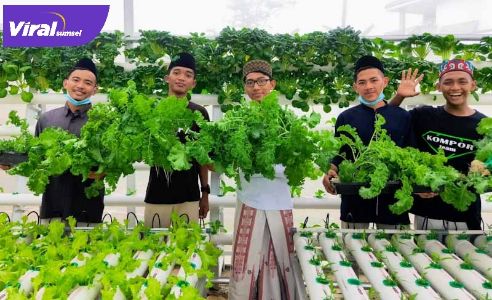 Pemberdayaan ekonomi berupa pembangunan sarana perkebunan hidroponik di Ponpes Sabilul Hasanah Banyuasin. FOTO : GULAM/JURNALIS UIN