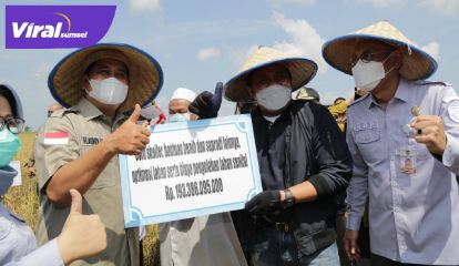 Gubernur Sumsel H Herman Deru, panen raya padi IP 200 di Banyuasin, Selasa (1/6/2021). Foto : viralsumsel.com