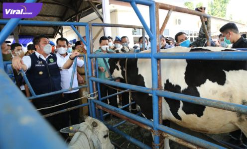 Gubernur Sumsel H Herman Deru didampingi Bupati Banyuasin Askolani pada Peringatan Hari Keamanan Pangan sedunia ke-3 di UPTD BPHPT, Sembawa Banyuasin, Selasa (7/7/2021). Foto : viralsumsel.com/sep