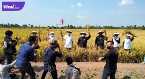 Wakil Ketua DPRD Provinsi Sumsel, H Muchendi didampingi bos Tanimor dan Bayer hadiri panen raya padi di Desa Pedu, Kecamatan Jejawi, Kabupaten OKI, Selasa (6/7 /2021) pagi. Foto : viralsumsel.com
