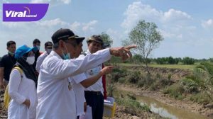 Wakil Bupati Banyuasin H. Slamet Somosentono SH, meninjau Proyek Rehabilitasi Daerah Irigasi Rawa, Desa Sebalik, Rabu (7/7/2021). Foto : viralsumsel.com/lam