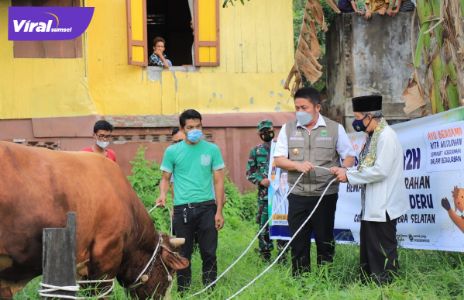Gubernur Sumsel H Herman Deru menyerahkan langsung sapi kurban di beberapa lokasi, Senin (19/7/2021). Foto : viralsumsel.com/sep