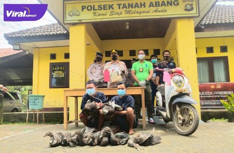 S dan A warga Payuputat Kota Prabumulih diamankan tim Tapak Rimau Polsek Tanah Abang PALI, Rabu (8/9/2021). Foto : viralsumsel.com/eko