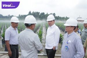 Plt Bupati Muba Beni Hernedi SIP tinjau PSR KPKS Suka Makmur Muba. Foto : viralsumsel.com/devi