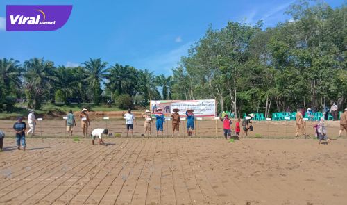 Tanam perdana padi SRI organik program pertanian sehat ramah lingkungan berkelanjutan PT Pertamina Hulu Rokan Region 1 Zona 4 Pendopo Field, Selasa (16/11/2021). Foto : viralsumsel.com/eko