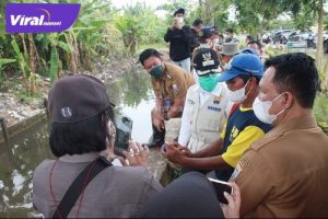 Wakil walikota Palembang Fitrianti Agustinda Meninjau Sungai Sedapat. Foto : viralsumsel/Nto