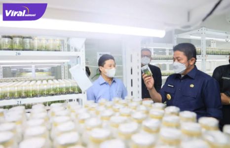 Gubernur Sumsel H Herman Deru meninjau Laboratorium Kultur Jaringan PT. GMZ Biomega Utama, Kamis (20/1/2022) pagi. Foto : viralsumsel.com/win