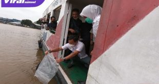 Wakil Walikota Palembang Fitrianti Agustinda lepaskan ribuan ikan patin ke Sungai Musi. Foto : viralsumsel.com/nto