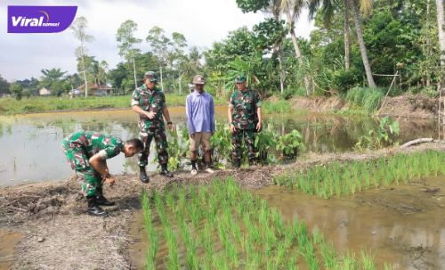 Tim Kodim 0402/OKI tinjau lahan demplot pertanian untuk penanaman padi di Desa Celikah Lk. 01, Kayuagung, Selasa (29/3/2022). Foto : viralsumsel.com/fir