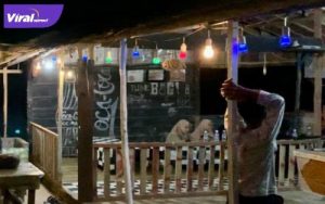 Kedai Laver Pool yang berada di Desa Majatra, Kecamatan Pulau Rimau, Kabupaten Banyuasin jadi tongkrongan muda-mudi. Foto : viralsumsel.com/nto