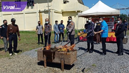 Kapolres OKI, AKBP Diliyanto SIK SH MH bersama Kepala Kejaksaan Negeri OKI, Abdi Reza Fachlewi Junus MH, Kepala BNN OKI AKBP Gendi Marzanto lakukan pemusnahan ganja, Jumat (10/6/2022). Foto : viralsumsel.com/fir