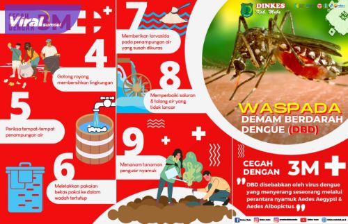 Ilustrasi upaya pencegahan agar jentik nyamuk demam berdarah tidak berkembang biak. Foto : viralsumsel.com/dev