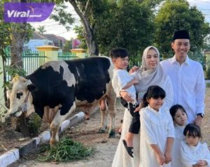 H Muchendi Mahzareki Wakil Ketua DPRD Provinsi Sumsel bersama isteri dan putera-puterinya menyerahkan sapi kurban ke Masjid Nurhidayah di Jalan Demang Lebar Daun, Palembang, Minggu (10/7/2022) pagi. Foto : viralsumsel.com/ion