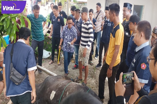 Pengurus Karang Taruna Kota Palembang lakukan pemotongan hewan kurban, pada Idul Adha 1443 H, Senin (11/7/2022) Pagi. Foto : viralsumsel.com/nto