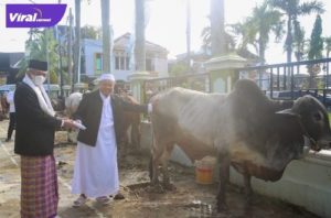 Wakil Gubernur Sumsel H. Mawardi Yahya berqurban usai melaksanakan Shalat Idul Adha 1443 Hijriah di Masjid Baiturrahman, Minggu (10/7/2022) pagi. Foto : viralsumsel.com/win