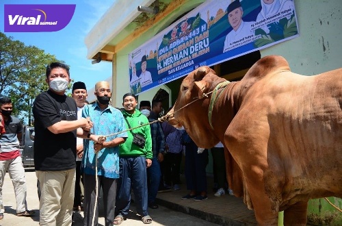 Gubernur Sumsel H Herman Deru secara simbolis menyerahkan beberapa ekor sapi yang akan dijadikan kurban disejumlah masjid dalam Kota Palembang, Sabtu (9/7/2022). Foto : viralsumsel.com/win