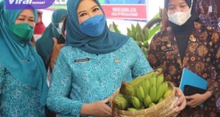 Ketua TP PKK Sumsel Hj. Febrita Lustia HD bersama  Wakil Ketua TP PKK Sumsel Hj Fauziah Mawardi Yahya Dalam kunjungan kerjanya di Desa Sridadi, Kecamatan Buay Madang, Kabupaten Ogan Komering Ulu (OKU) Timur, Selasa (13/9/2022). Foto : viralsumsel.com/win
