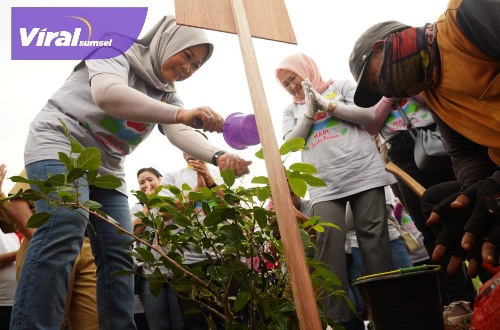 Pelindung Perwosi Sumsel Feby Deru bersama Ketua Perwosi Sumsel Fauziah MY secara simbolis tanam pohon tabebuya ungu di sepanjang  sempadan jalan jembatan Musi VI Palembang, Selasa (10/1/2023). Foto : viralsumsel.com/win