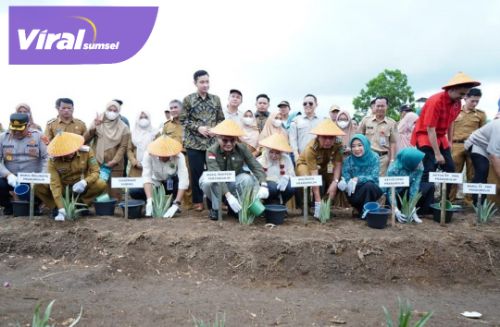Wamentan RI, Harvick Hasnul Qolbi meresmikan kawasan budidaya nanas di Desa Tanjung Bunut, Kelurahan Karangjaya, Kota Prabumulih, Selasa 21 Februari 2023. Foto : viralsumsel.com/mal