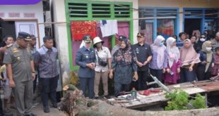 Wakil walikota Palembang Fitrianti Agustinda saat meninjau lokasi pohon besar yang tumbang. Foto : Viralsumsel/Nto