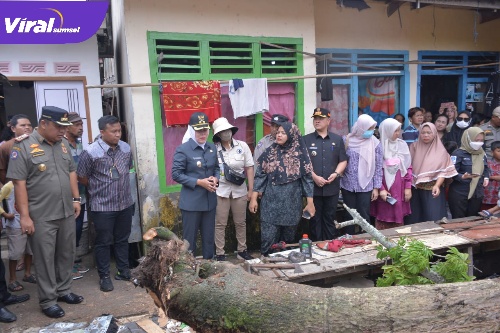 Wakil walikota Palembang Fitrianti Agustinda saat meninjau lokasi pohon besar yang tumbang. Foto : Viralsumsel/Nto