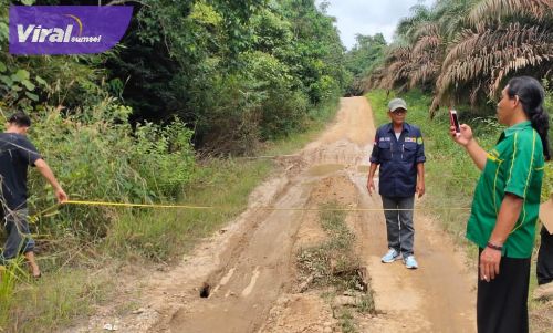 PU PR Perbaiki Jalan Desa Tanjung Bali-Tanah Abang Batanghari Leko dan Jalan dari Jembatan Lalan (P.11) menuju Desa Mekar Jadi (B.2)-Sp. Jalan Negara Lalan. Foto : viralsumsel.com/dev