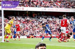 Laga Arsenal FC vs Brighton & Hove Albion . Foto : net
