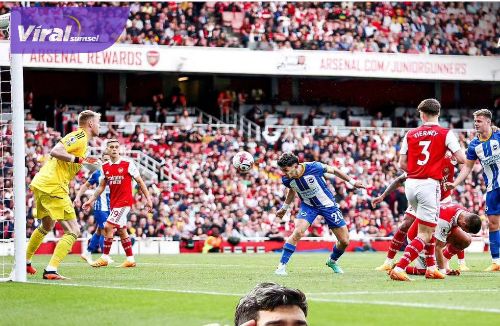 Laga Arsenal FC vs Brighton & Hove Albion . Foto : net