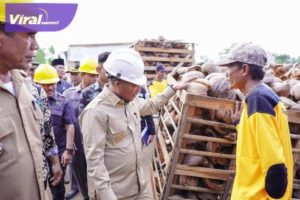 Operasional Industri Cocopeat dan Cocofiber Kecamatan Lalan di Rumah Produksi Kelapa Terpadu Desa Purwo Agung (P2) Kecamatan Lalan, Kamis (15/6/2023). Foto : viralsumsel.com/dev