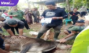 Ketua Masjid Jamiatul Muawanah Ustadz Suhaimi Saat Mendoakan Nama-nama Yang Berkurban. Foto : Nto/Viralsumsel