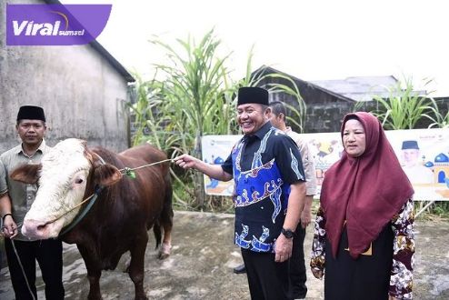 Gubernur Sumsel H. Herman Deru menyerahkan bantuan sapi qurban ke sejumlah masjid di Sumsel, Rabu (28/6/2023) siang. Foto : viralsumsel.com/win
