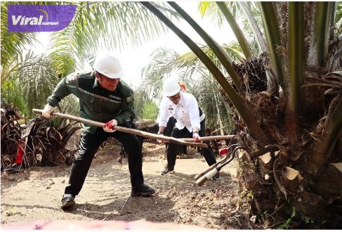 Gubernur Herman Deru Dampingi Mentan RI Panen PSR Terbesar di Indonesia. Foto : viralsumsel.com/win