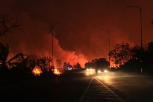 Kebakaran lahan gambut di jalan Raya Lintas Timur Sumatera, desa sungai Rambutan, Kecamatan Indralaya, Kabupaten Ogan Ilir, Sumatera Selatan, Kamis (14/9/2023). Lahan Gambut tersebut dekat dengan pemukiman, lahan pertanian dan pintu exsit Tol Rambutan.foto : Muhammad Hatta/viralsumsel.com