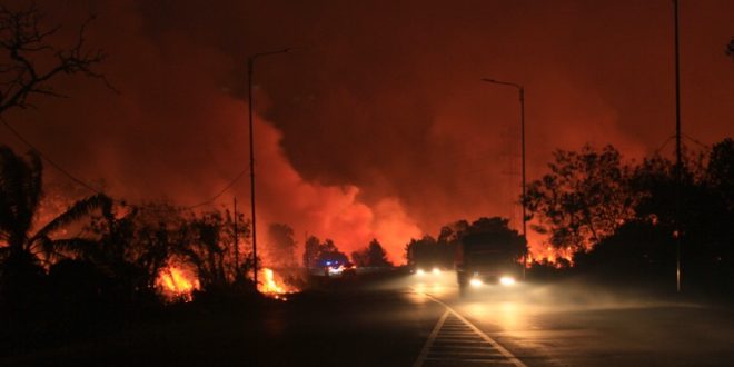 Kebakaran lahan gambut di jalan Raya Lintas Timur Sumatera, desa sungai Rambutan, Kecamatan Indralaya, Kabupaten Ogan Ilir, Sumatera Selatan, Kamis (14/9/2023). Lahan Gambut tersebut dekat dengan pemukiman, lahan pertanian dan pintu exsit Tol Rambutan.foto : Muhammad Hatta/viralsumsel.com