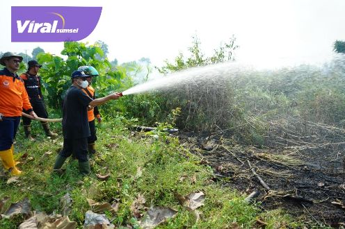 Bareng Petugas BPBD, Pj Bupati Apriyadi Padamkan Karhutlah di Dusun Lame Sekayu. Foto : viralsumsel.com/dev