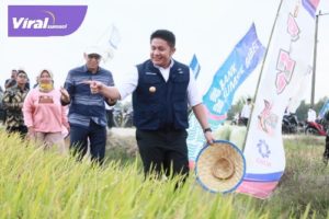 Gubernur Sumsel H. Herman Deru juga melakukan Penyerahan Bantuan Sarana dan Prasarana Pertanian Pemerintah Kabupaten OKU Timur. Foto : viralsumsel.com/win