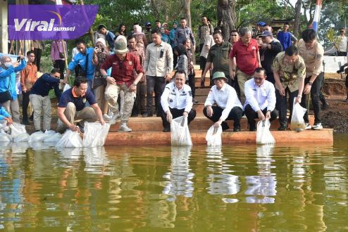 Atasi Stunting, Pj Gubernur Sumsel Agus Fatoni Tebar Bibit Ikan di Kolam Wisata Rantau Kampai. Foto : viralsumsel.com/win Atasi Stunting, Pj Gubernur Sumsel Agus Fatoni Tebar Bibit Ikan di Kolam Wisata Rantau Kampai. Foto : viralsumsel.com/win