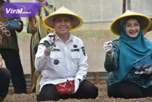 Pj Gubernur Sumsel Agus Fatoni Tanam Bawang di OKU. Foto : viralsumsel.com/win