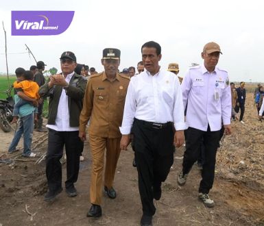 Menteri Pertanian Optimalkan Lahan Rawa di OKI untuk Dongkrak Produksi Padi Nasional. Foto : viralsumsel.com/fir
