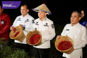 Kendalikan Inflasi, Pj Gubernur Agus Fatoni Panen Raya Cabe Bersama Petani di Ogan Ilir. Foto : viralsumsel.com/win