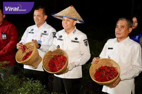 Kendalikan Inflasi, Pj Gubernur Agus Fatoni Panen Raya Cabe Bersama Petani di Ogan Ilir. Foto : viralsumsel.com/win Kendalikan Inflasi, Pj Gubernur Agus Fatoni Panen Raya Cabe Bersama Petani di Ogan Ilir. Foto : viralsumsel.com/win