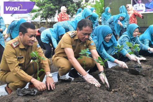 Tim Penggerak PKK OKI Tanam 250 Bibit Cabai. Foto : viralsumsel.com/zep Tim Penggerak PKK OKI Tanam 250 Bibit Cabai. Foto : viralsumsel.com/zep