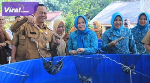 Pj Walikota Prabumulih Panen Ikan Lele Budidaya Sistem Bioflok di Pokdakan Usaha Mandiri Barokah. Foto : viralsumsel.com/man